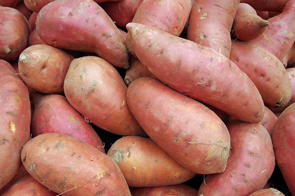 Sweet Potatoes Gettyimages 867803496