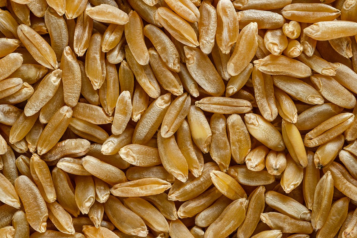 The 50 Best Foods For Your Heart Kamut Gettyimages 966677226