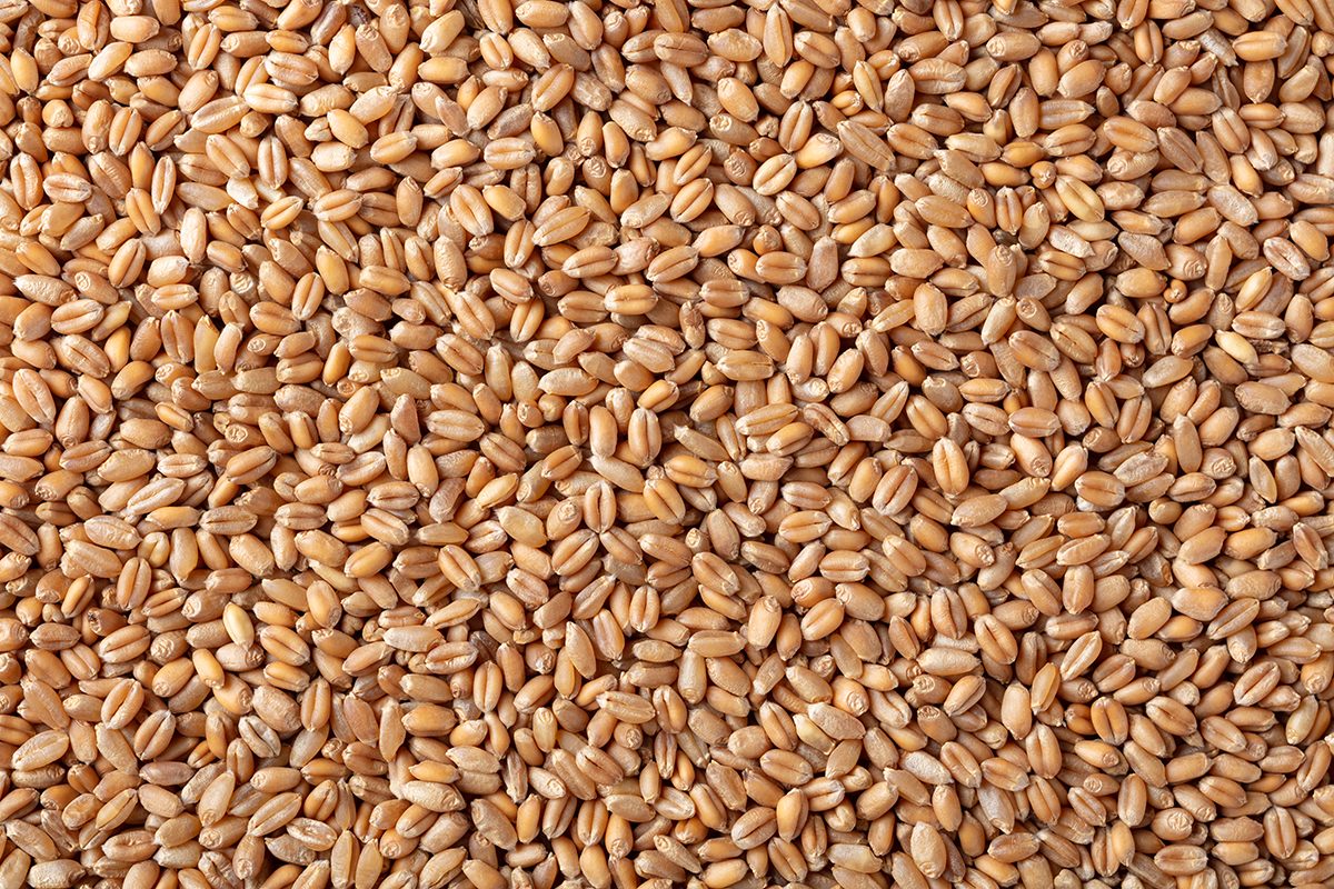The 50 Best Foods For Your Heart Whole Grains Gettyimages 1271254004