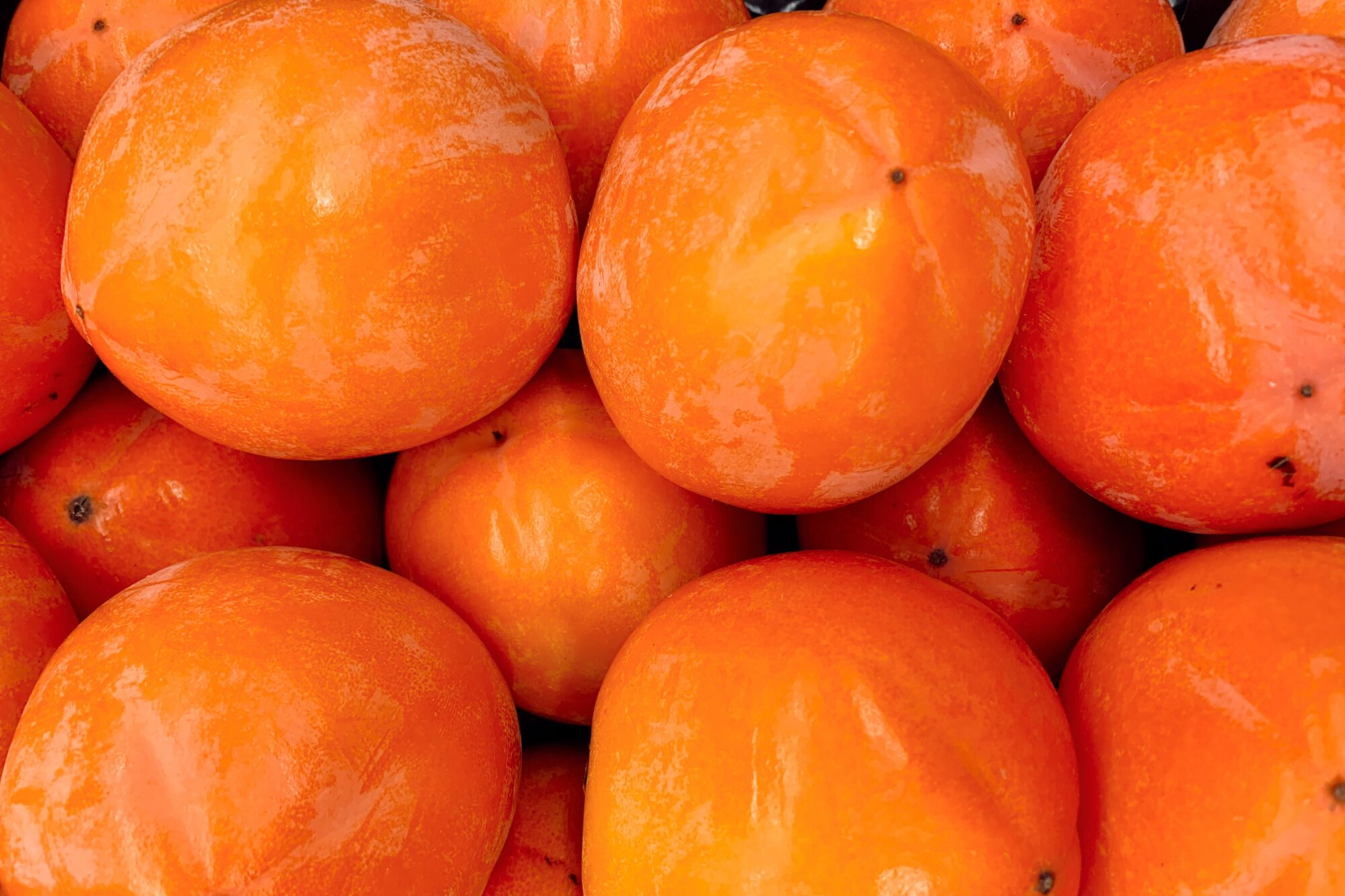 Persimmons