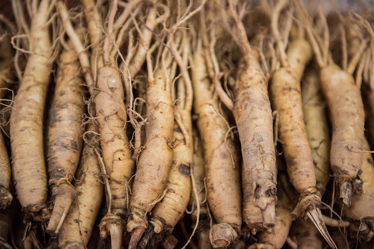 Ginseng Gettyimages 627215894